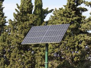 solar panel against forest